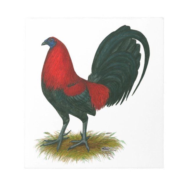 American Gamecock:  Brown Red Notepad (Front)