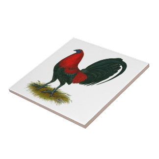 American Gamecock:  Brown Red Tile