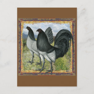 American Games: Self Blue or Dun Postcard