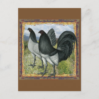 American Games: Self Blue or Dun Postcard