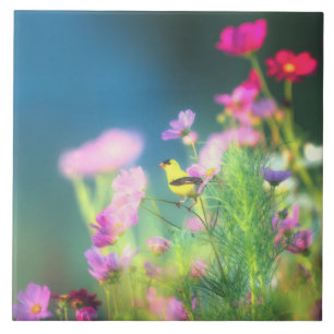 American Goldfinch and Coreopsis  Tile