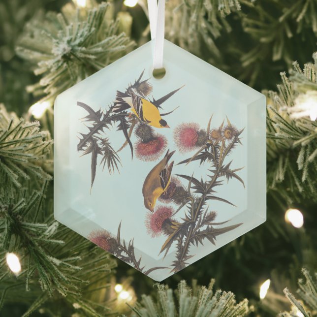 American Goldfinch Audubon Birds of America Glass Tree Decoration (Insitu)
