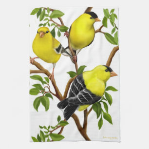 American Goldfinch Birds Kitchen Towel