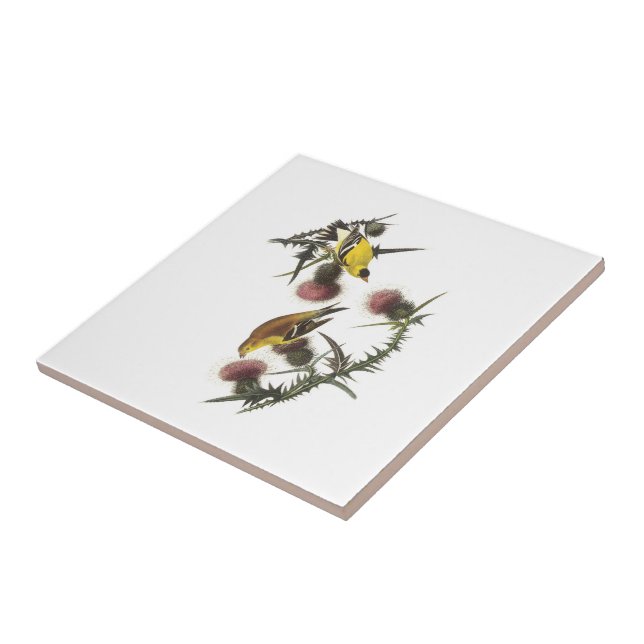 American Goldfinch by Audubon Tile (Side)