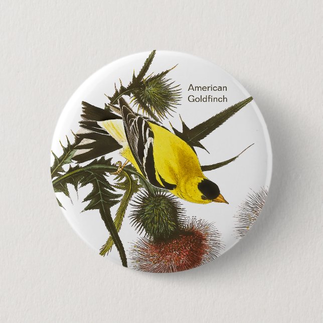 American Goldfinch by John James Audubon, Bird 6 Cm Round Badge (Front)