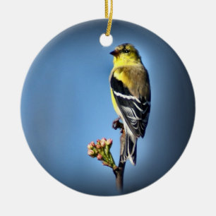 American Goldfinch Ceramic Tree Decoration
