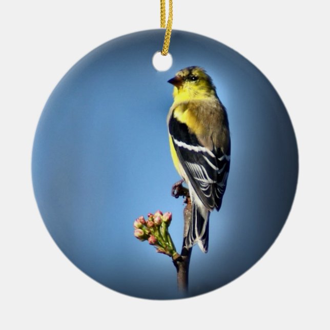 American Goldfinch Ceramic Tree Decoration (Front)