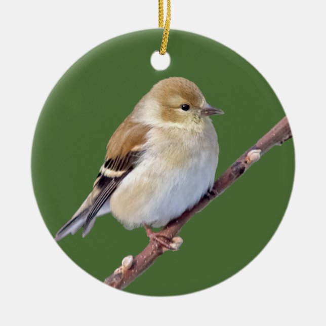 American Goldfinch Ceramic Tree Decoration (Front)