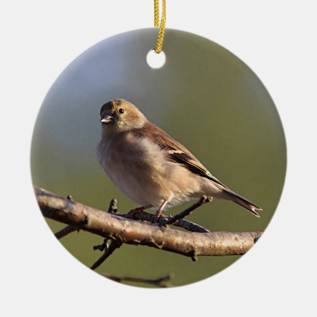 American goldfinch in winter plumage ceramic tree decoration (Front)