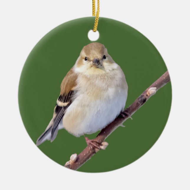 American Goldfinch Looking At You Ceramic Tree Decoration (Front)