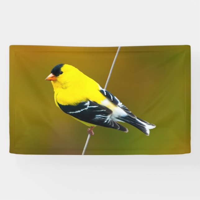 American Goldfinch - Original Photograph Banner (Horizontal)