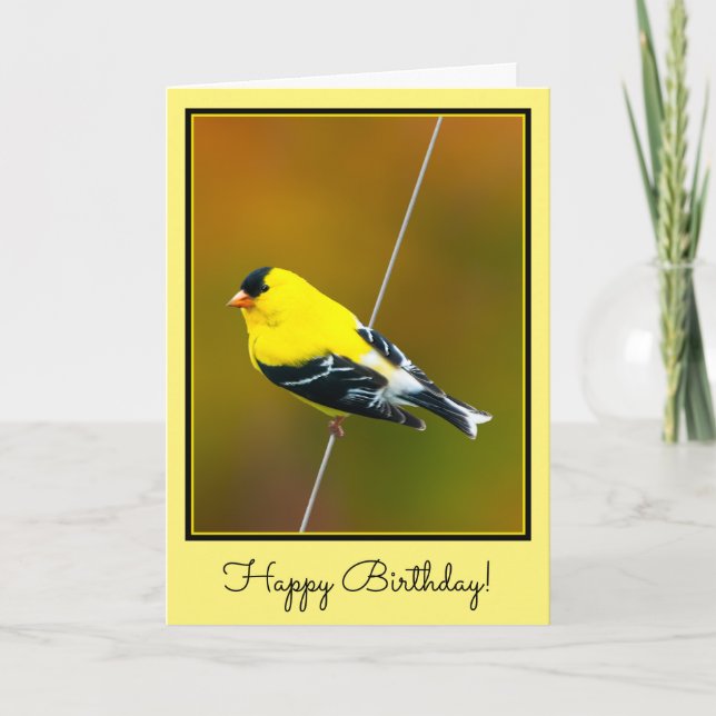 American Goldfinch - Original Photograph Card (Front)