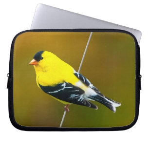 American Goldfinch - Original Photograph Laptop Sleeve