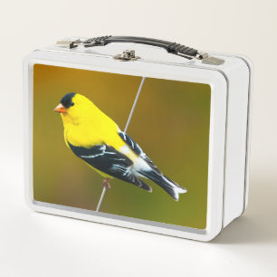 American Goldfinch - Original Photograph Metal Lunch Box