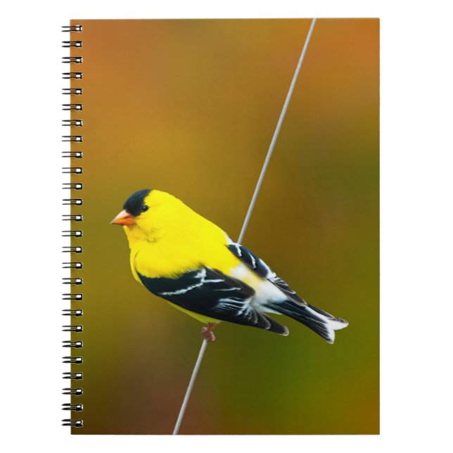 American Goldfinch - Original Photograph Notebook (Front)