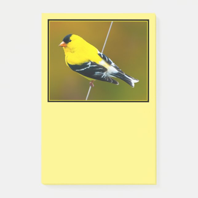 American Goldfinch - Original Photograph Post-it Notes (Front)
