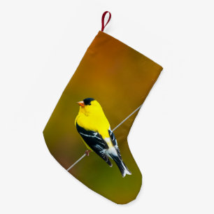 American Goldfinch - Original Photograph Small Christmas Stocking