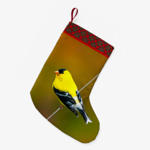 American Goldfinch - Original Photograph Small Christmas Stocking