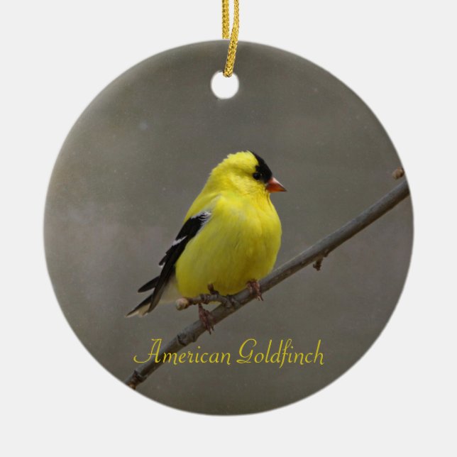 American Goldfinch Photography Round Ceramic Tree Decoration (Front)