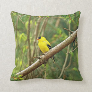 American Goldfinch Songbird - Spinus tristis Cushion