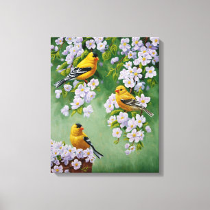 American Goldfinches & Pink Apple Blossoms Canvas Print