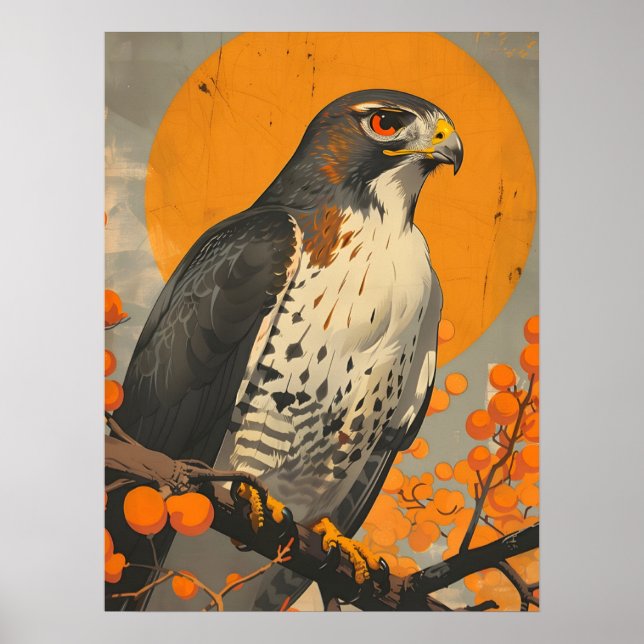 American Goshawk Poster (Front)