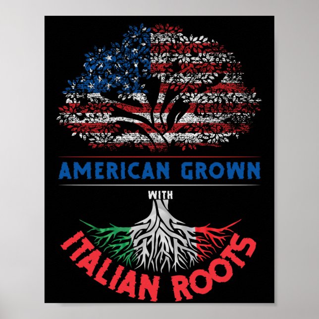 American Grown  Italian Roots USA Flag Venezuela Poster (Front)