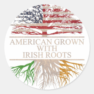 American grown with irish roots classic round sticker