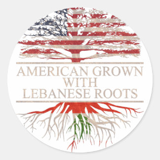 American grown with lebanese roots classic round sticker