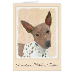 American Hairless Terrier Painting - Dog Art