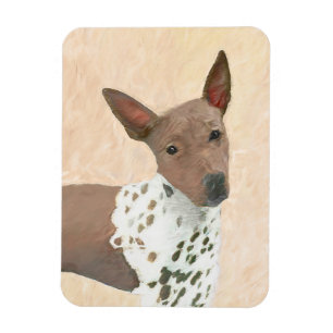 American Hairless Terrier Painting - Dog Art Magnet
