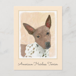 American Hairless Terrier Painting - Dog Art Postcard