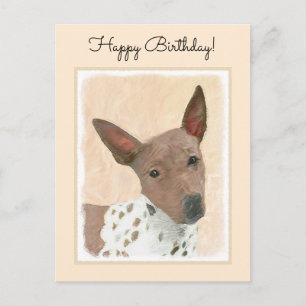 American Hairless Terrier Painting - Dog Art Postcard