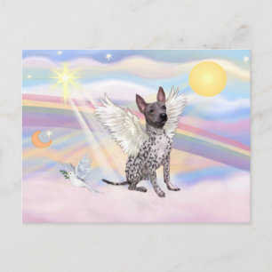 American Hairless Terrier Postcard