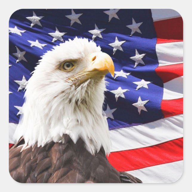 american independence stickers (Front)