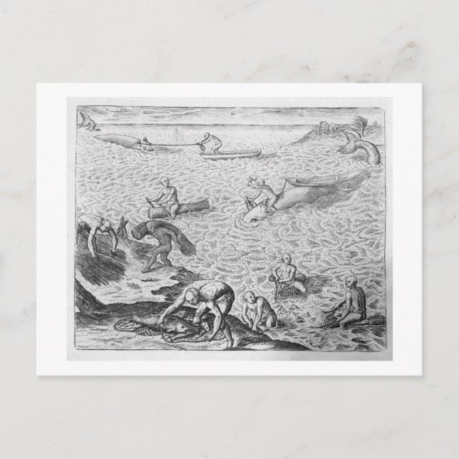 American Indian method of whaling, from an account Postcard (Front)