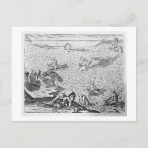 American Indian method of whaling, from an account Postcard