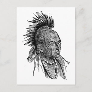 American Indian Postcard