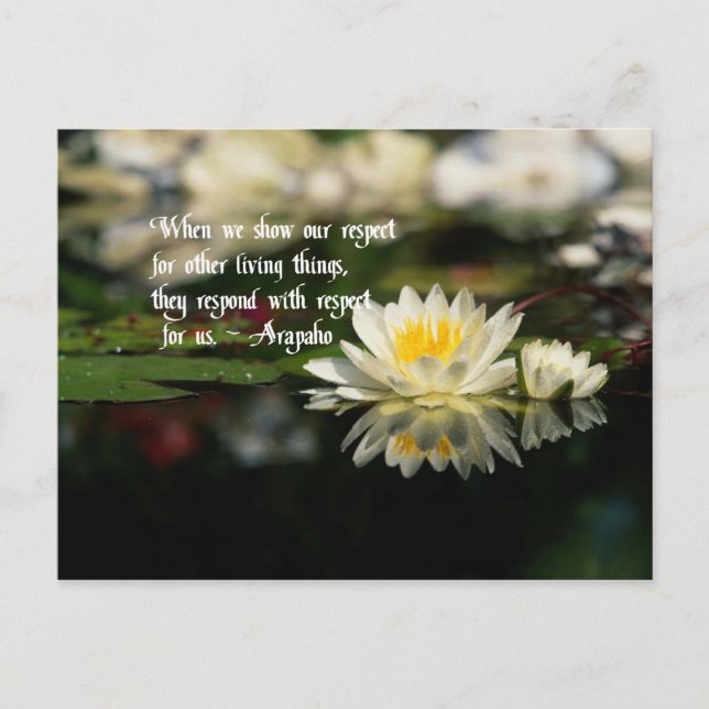 American Indian proverb,respect Postcard (Front)