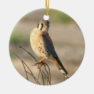 American Kestel Ceramic Tree Decoration
