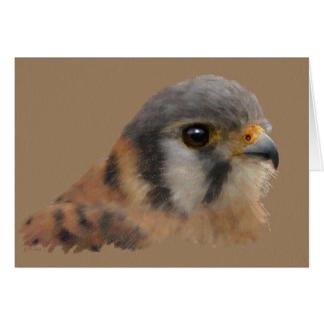 American Kestrel (Front Horizontal)