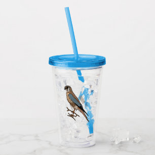 American kestrel bird cartoon illustration acrylic tumbler