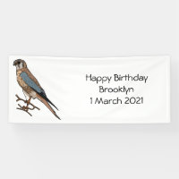 American kestrel bird cartoon illustration
