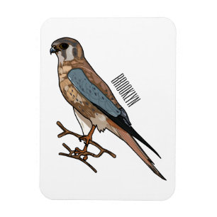 American kestrel bird cartoon illustration  magnet