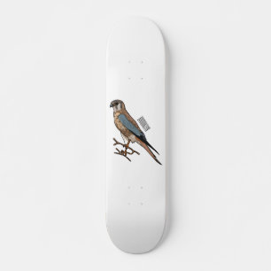 American kestrel bird cartoon illustration skateboard