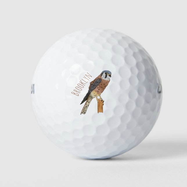 American Kestrel bird illustration Golf Balls (Front)