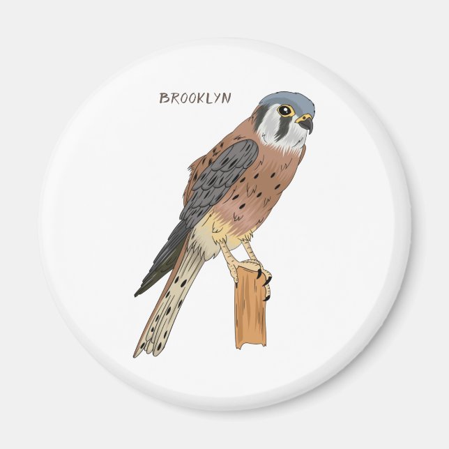 American Kestrel bird illustration  Magnet (Front)