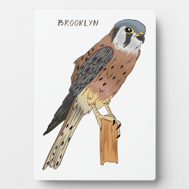 American Kestrel bird illustration Plaque (Front)