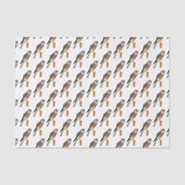 American Kestrel bird illustration Tissue Paper (Front)