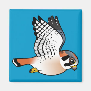 American Kestrel in flight Magnet